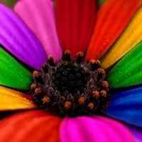 颜色丰富的色彩缤纷头像图片