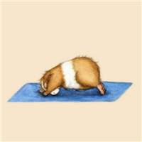 练瑜伽的可爱卡通小松鼠头像图片