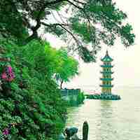 小清新范的自然风景
