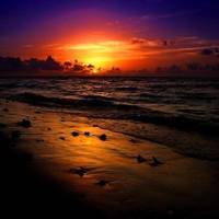 高清真实海边沙滩风景图片头像