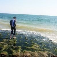 微信头像全身男生,好看的男生远景全身头像图片