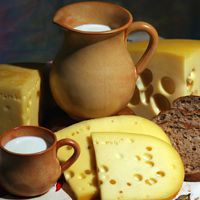 奶酪头像图片_美味的早餐怎么能少了它