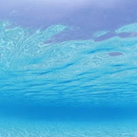 澈澈见底的海水头像
