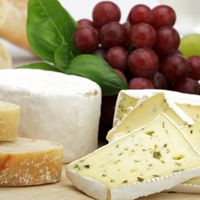 奶酪头像图片_美味的早餐怎么能少了它