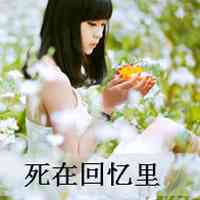 唯美带字头像伤感 不想再为你沉沦