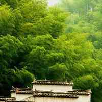 小清新范的自然风景