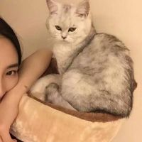 个性女生头像霸气高冷 气质霸气高冷