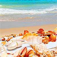 风景头像大海_好看的头像风景图片大海