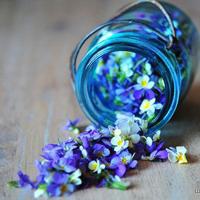 风景瓶子的头像 带意境风景的唯美瓶子