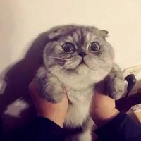 时不时地秀恩爱