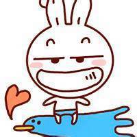 卡通可爱的兔子头像图片