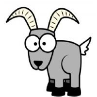 小羊羊聪明可爱又萌萌的小羊羊