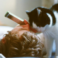 男生头像抱着宠物