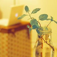 风景瓶子的头像 带意境风景的唯美瓶子