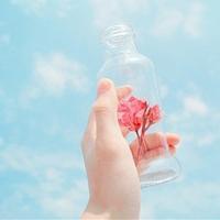 风景瓶子的头像 带意境风景的唯美瓶子