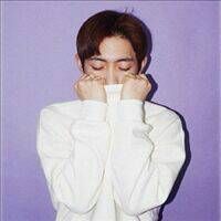 浪漫不止是一点点