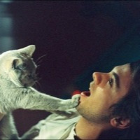 男生头像抱着宠物