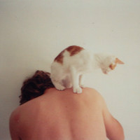 男生头像抱着宠物