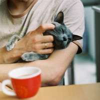 男生头像抱着宠物