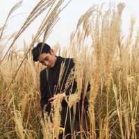 回味青春爱情里的甜蜜和酸涩