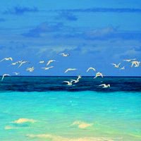 风景头像大海_好看的头像风景图片大海