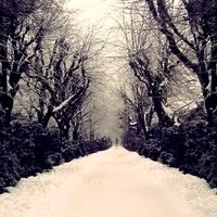 浪漫的冬天自然雪景图片头像