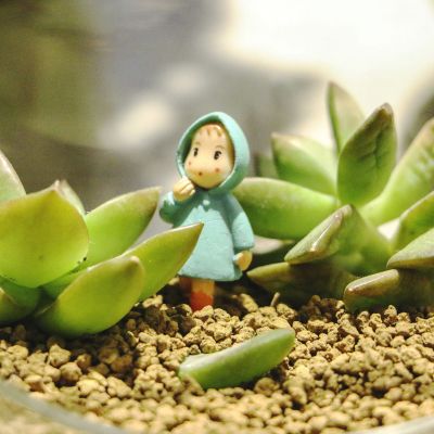 静物风景头像_高清好看唯美小清新风格