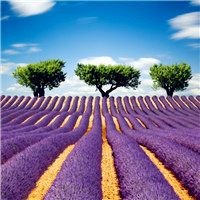 高清好看的唯美意境风景美图