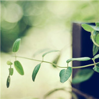 高清好看的唯美意境风景美图