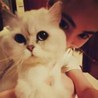 抱猫女头像_愿你是我的小猫