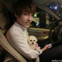 男生头像抱着宠物