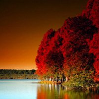 黄昏风景头像 美腻了的黄昏美景