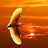 黄昏风景头像 美腻了的黄昏美景