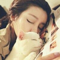 抱猫女头像_愿你是我的小猫