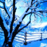 浪漫的冬天自然雪景图片头像