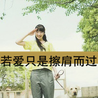 女生风景带字头像 越是流泪越是仰望