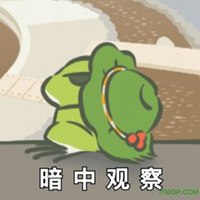 情侣头像旅行青蛙