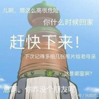 旅行青蛙女友+头像