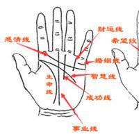 四龙风水头像图片大全