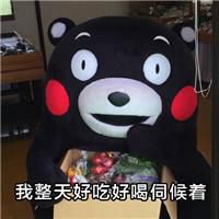 微信头像关于熊本熊