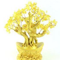 选发财树微信头像卡通