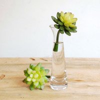 金色发财树头像图片大全