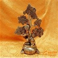 用发财树做头像好吗