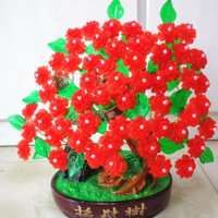 用发财树做头像好吗