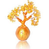 红包发财树图片头像