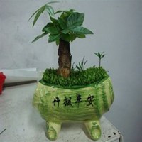 黄金发财树微信头像