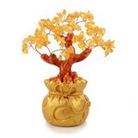 男生头像用发财树