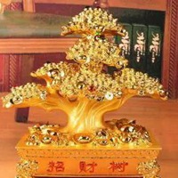 用发财树做头像好吗