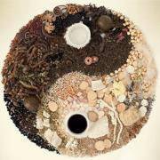 2018孩子健康成长微信头像