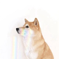 2018属狗最旺财招财微信头像